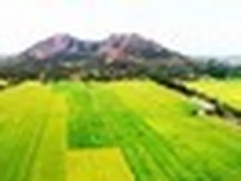 Ngôi làng ở VN mưa xuống có lúc nhặt được vàng: Khai quật hơn 100 cổ vật, 19 món thành bảo vật quốc gia