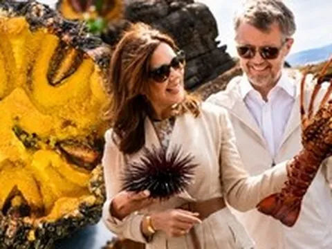 Vương hậu Mary của Đan Mạch cầm loài hải sản mà người Việt gọi là "nhân sâm biển": Đặc sản tiến vua, nướng mỡ hành thơm lừng cả phố