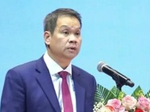 Đà Nẵng chấp nhận 3 dự án đầu tư hạ tầng khu thương mại tự do, Phương Trang đầu tư nhiều nhất