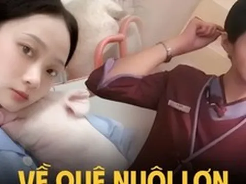 Bỏ việc tiếp viên hàng không về quê nuôi lợn, tháng kiếm hơn 300 triệu