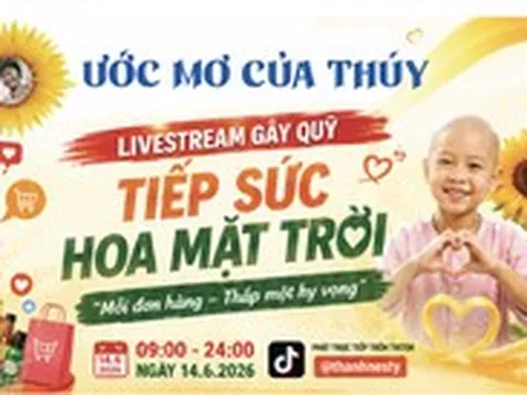 Hôm nay Mega livestream trên Tiktok: Mua hàng vui giá hời, nhận quà, giúp bệnh nhi ung thư