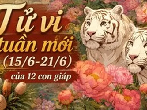 Tử vi tuần mới (15/6-21/6): Top 3 con giáp được Thần Tài "độ", công việc lên hương, tiền bạc nở rộ
