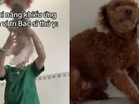 Bác sĩ thú y ở TP.HCM bị chỉ trích khi giày vò chó mèo ở phòng khám, càng lên tiếng càng gây phẫn nộ