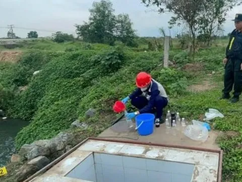 Hà Nội: Tiếp tay cho doanh nghiệp vi phạm, giám đốc công ty và viện trưởng bị khởi tố