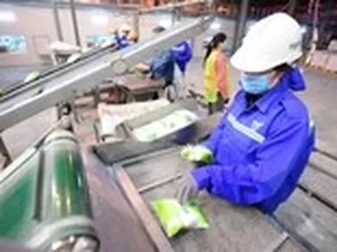 Phía sau một hạt đường là cả một hành trình