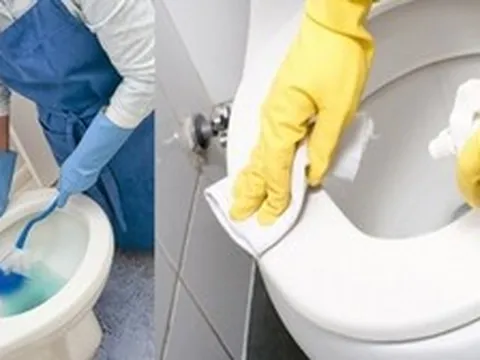 Mẹo khử mùi hôi nhà vệ sinh đơn giản và hiệu quả