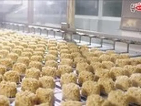 Có gì bên trong quy trình sản xuất mì ăn liền tại Acecook Việt Nam?