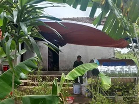 Vào rừng hái cây thuốc, người phụ nữ bị rắn độc cắn tử vong