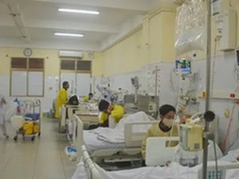 Từ những cuộc họp triệu đô đến căn phòng của mẹ, tôi bị kéo vào cuộc giằng co đau đớn nhất đời mình