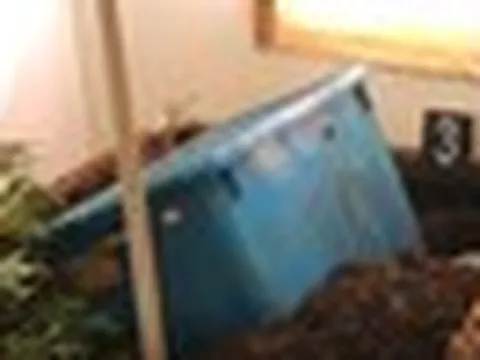 Thái Lan: Căn phòng đóng cửa bật điều hòa dù không có người, cảnh sát ập vào chứng kiến cảnh ám ảnh