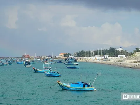 Cận cảnh khu neo đậu tránh trú bão cách đất liền hơn 100km cho tàu thuyền