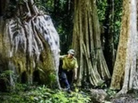 Ngắm Vườn quốc gia Cát Tiên trước khi chuyển giao cho Đồng Nai quản lý