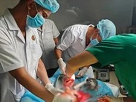 Bệnh xá Trường Sa hội chẩn với Bệnh viện Quân y 354 cứu ngư dân đứt lìa chân
