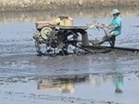 Cần Thơ đề xuất hỗ trợ doanh nghiệp đầu tư vào nông nghiệp, nông thôn