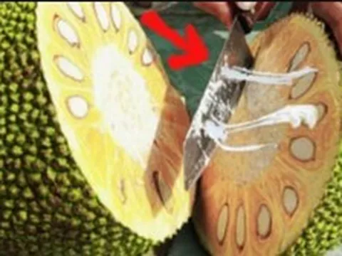 Bổ mít mà bôi thêm 1 lớp này, dao trơn tuồn tuột, không lo dính nhựa, lại còn dễ vệ sinh
