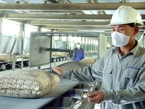 Nhập siêu lớn nhưng nhiều mặt hàng xuất khẩu nổi lên khi nhà mua hàng 'săn đón'