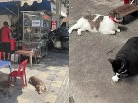 Khách Trung mách cách tìm quán ăn ngon ở Việt Nam: 3 dấu hiệu chứng tỏ "biết quá nhiều", điều thứ 3 khiến netizen cười "muốn điên" vì quá đúng