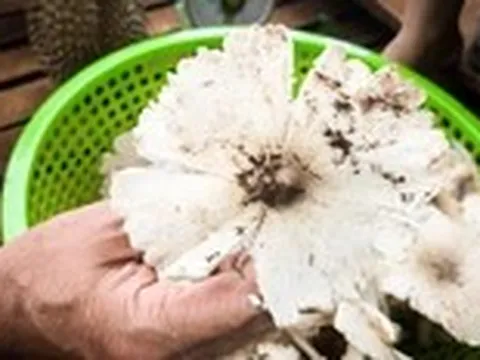 Vật chất thừa mứa khiến tình cảm láng giềng phai nhạt?
