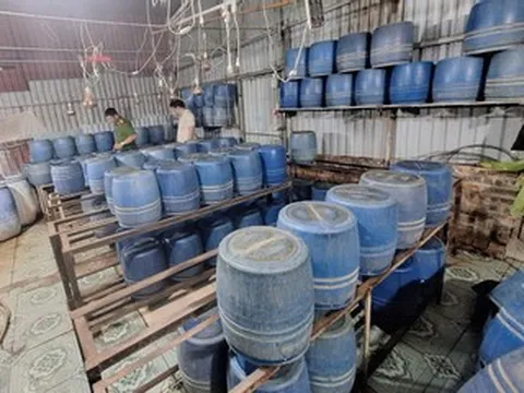Khởi tố chủ cơ sở sản xuất gần 800kg giá đỗ bằng chất cấm