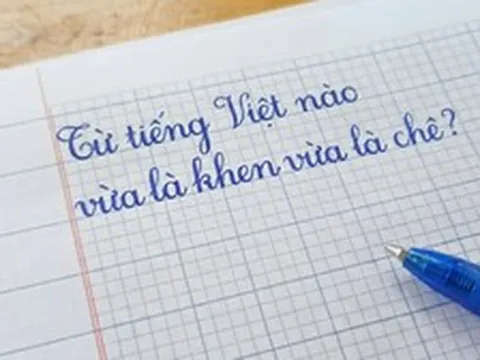 Trong tiếng Việt có một từ vừa là khen ngợi vừa là chê bai