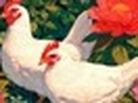 3 con giáp nhận tin vui trong ngày thứ Bảy, 20/6/2026