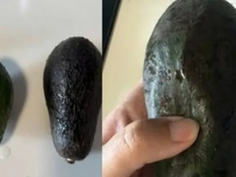 Loại quả "khó chiều" nhất trên đời, hàng triệu người đau đầu sau khi mua
