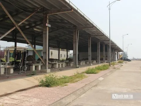 Luồng lạch bồi lắng "bóp nghẹt" cảng cá trăm tỷ