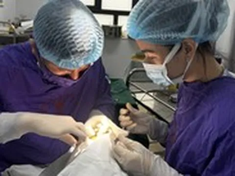 Quả cầu lông đập trúng mắt gây giập nhãn cầu, nguy cơ mất thị lực