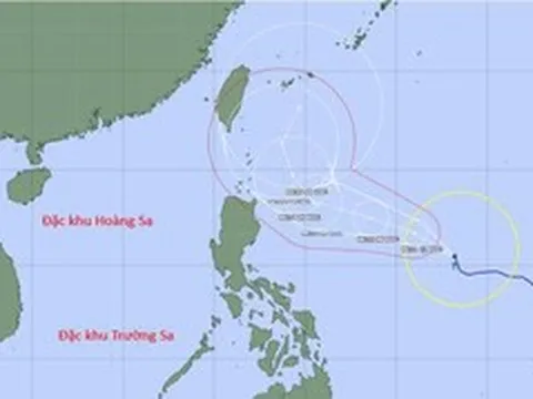 Bão Mekhala tăng tốc và tiết lộ bất ngờ về mùa bão 2026 do El Nino