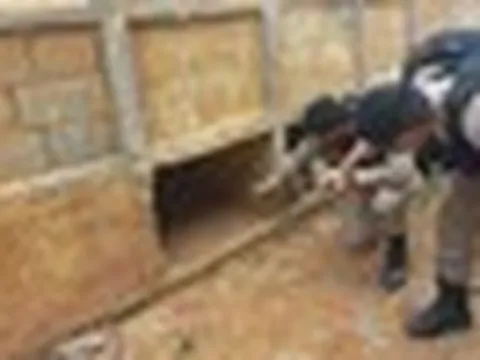 Đến nghĩa trang làm việc, nhóm công nhân hoảng loạn khi nghe tiếng thét phát ra từ ngôi mộ bị bịt kín