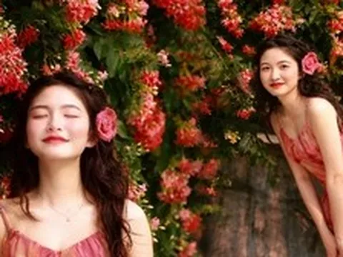 Loài hoa "ảo diệu" đổi 3 màu trong ngày: Trồng đúng cách, sử quân tử thơm ngát ban công suốt 5 tháng không ngừng nghỉ