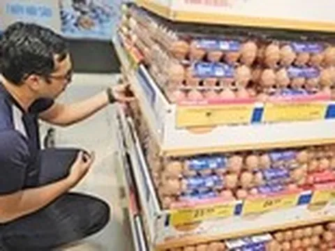 Giá trứng gà tăng trở lại, nhưng người chăn nuôi vẫn đang lỗ