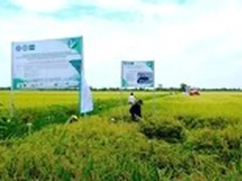 Hộ kinh doanh sắp được hỗ trợ lãi suất 2% khi đầu tư dự án xanh