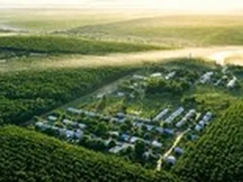 VRG bước vào chu kỳ tăng trưởng mới bằng đổi mới và phát triển xanh