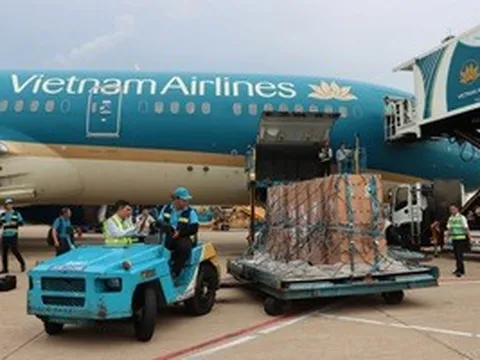 Sếu đầu đỏ "bay" từ Thái Lan về Việt Nam bằng Boeing 787