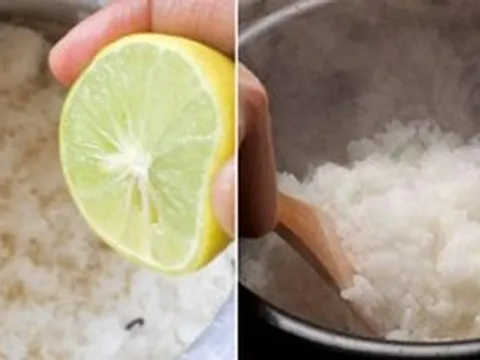 Mẹo giữ cơm không bị ôi thiu trong ngày hè