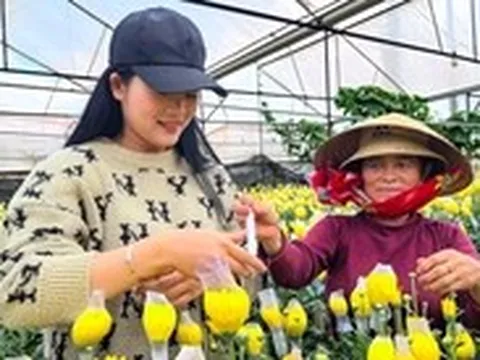 Nông nghiệp chữa lành