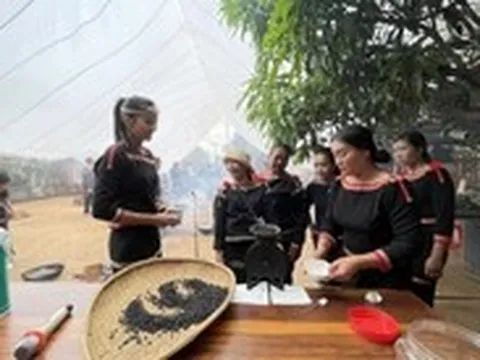 Đắk Lắk thực hiện chiến lược 'thủ phủ cà phê ngon nhất thế giới'