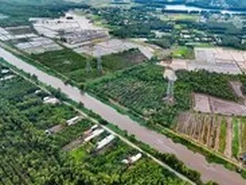 Tin tức sáng 25-6: Bảy khu nông nghiệp công nghệ cao của TP.HCM nằm ở đâu?
