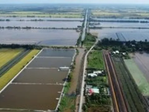 Làm đường kết nối cao tốc vào vùng Đồng Tháp Mười