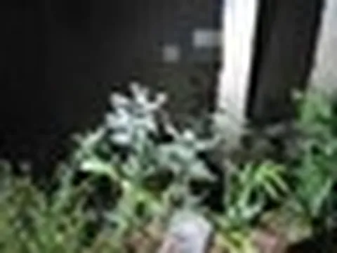 Người đàn ông mất tích sau giờ làm, gần nửa đêm được tìm thấy trong tình trạng khiến gia đình ngã quỵ