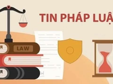 Tòa án Đức bác toàn bộ kháng cáo của Đặng Thị Huệ, Vingroup thắng kiện