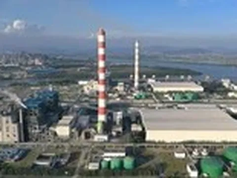 Nhiệt điện Hải Phòng có động thái mới liên quan đến Chủ tịch hội đồng quản trị