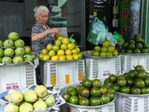 Thị trường TP.HCM ngày 26-6: Giá thịt heo giảm nhẹ,  rau củ Trung Quốc về chợ nhiều