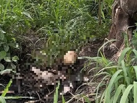 Bộ xương trong bãi cỏ ở TPHCM: Camera ghi nhận hành trình cuối của người mất tích