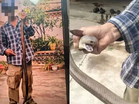 Bị rắn hổ mang cắn vào tay vẫn chụp ảnh, người đàn ông 58 tuổi có trải nghiệm nhớ đời