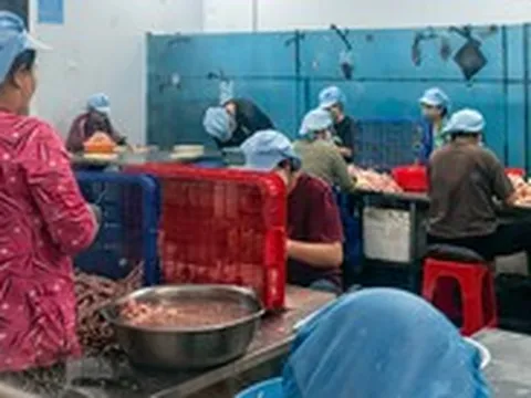 Đồng Nai phát hiện hơn 7 tấn chân gà đông lạnh quá hạn, không rõ nguồn gốc xuất xứ