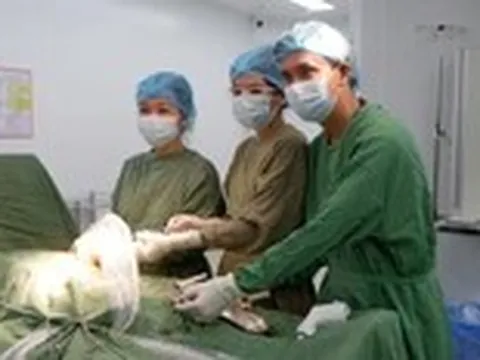 Sàng lọc miễn phí 9 bệnh trước sinh và sơ sinh