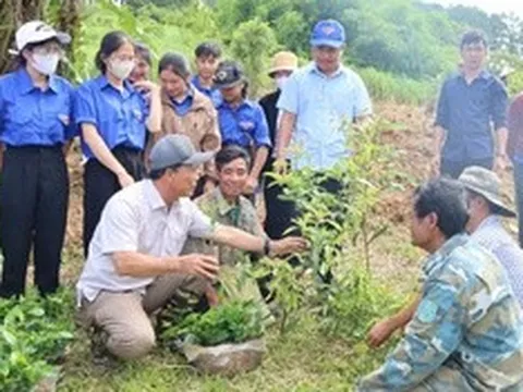 Một năm vận hành chính quyền hai cấp: Sự chuyển mình mạnh mẽ ở xã vùng cao Quảng Ngãi