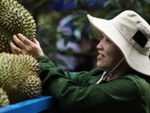 Muốn hút đầu tư vào nông nghiệp công nghệ cao, Đắk Lắk phải dỡ các 'rào cản'